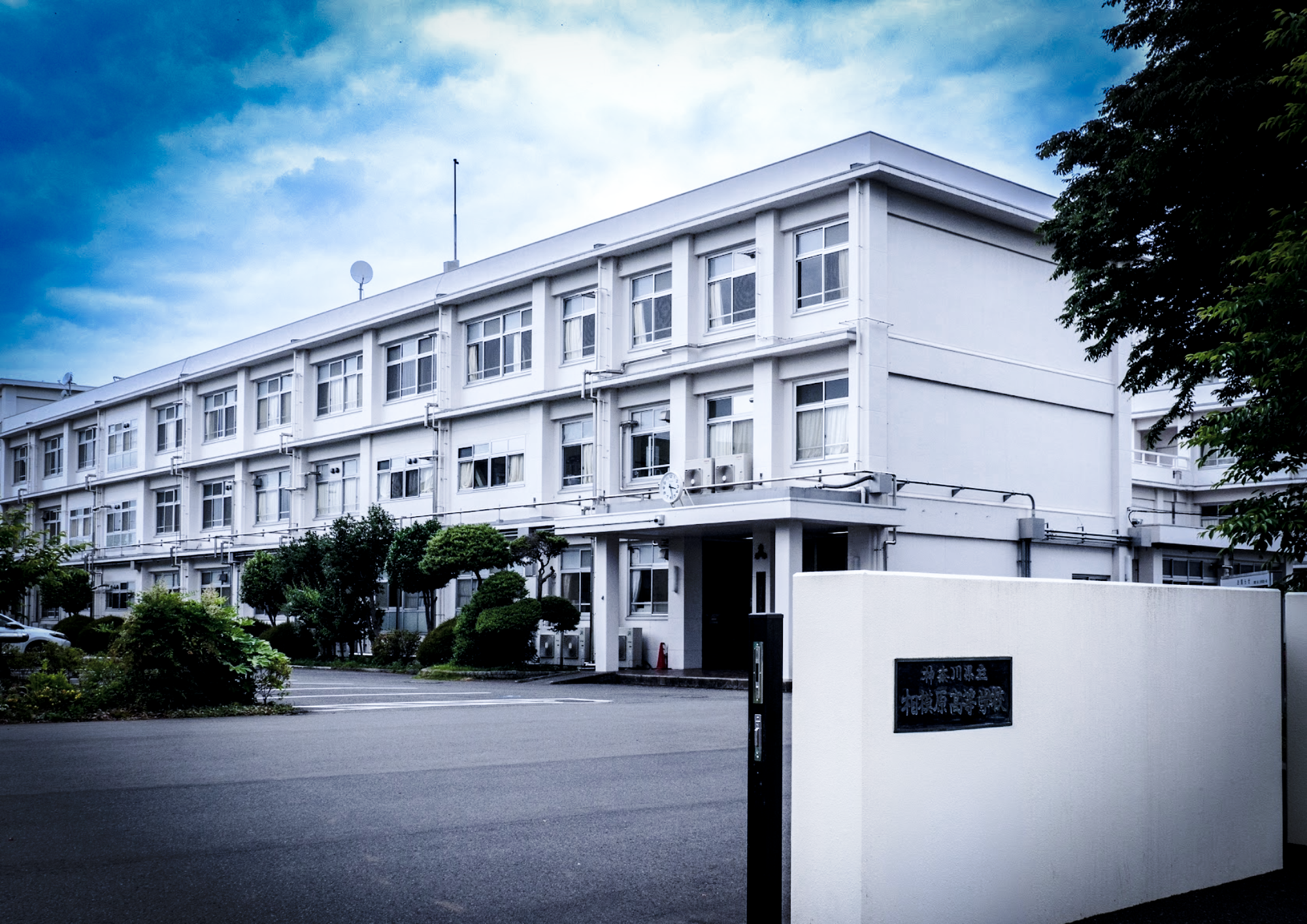相模原高等学校 正門と桜